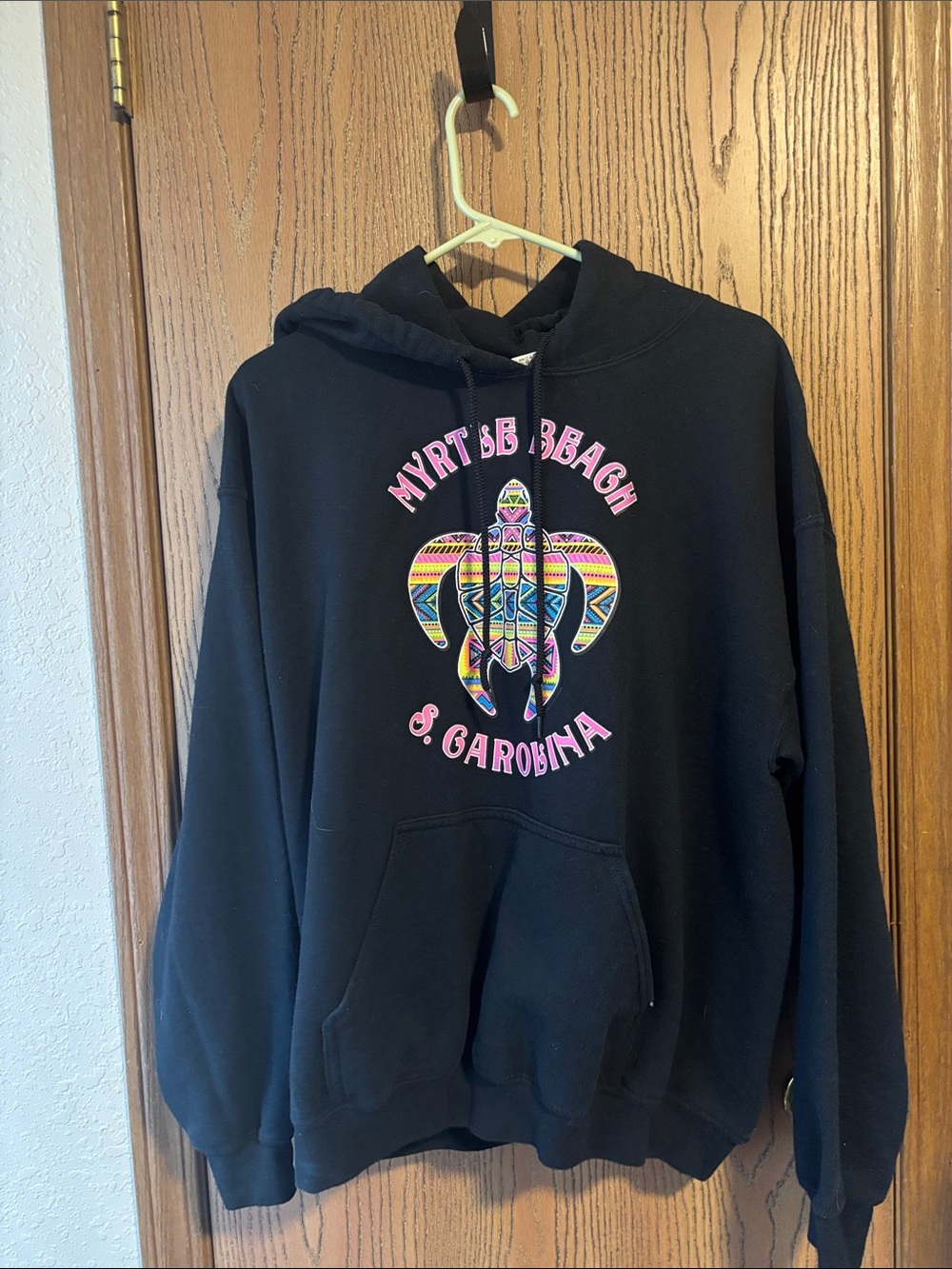 Gildan Black Hoodie with Multicolor Turtle Graphic and Pink Text